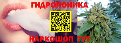 метадон Гусев