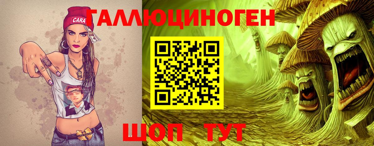 Муром  Псилоцибиновые грибы Psilocybe  Вход с VPN 