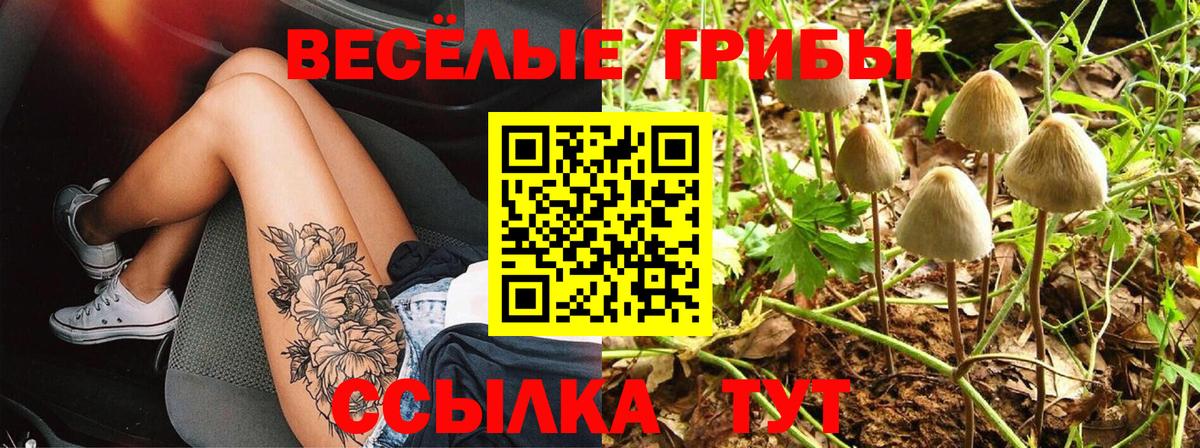 Галлюциногенные грибы ЛСД Муром